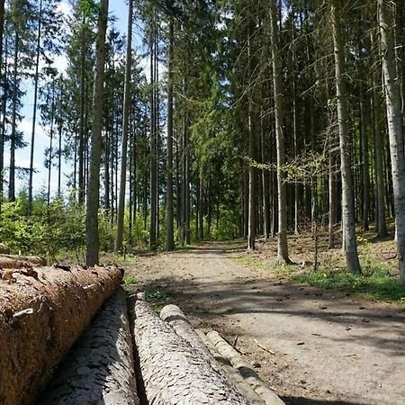 Seepark Kirchheim Ferienhaus Bei Anne Mit Sauna Εξωτερικό φωτογραφία